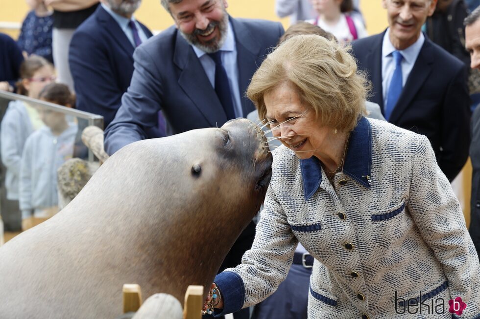 La Reina Sofía con un león marino en el Zoo de Madrid