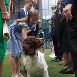 La Princesa Charlotte acariciando a una perra en la final de Wimbledon 2023