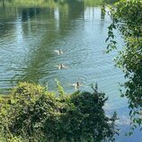 Nikolai, Felix y Henrik de Dinamarca bañándose en un lago en sus vacaciones