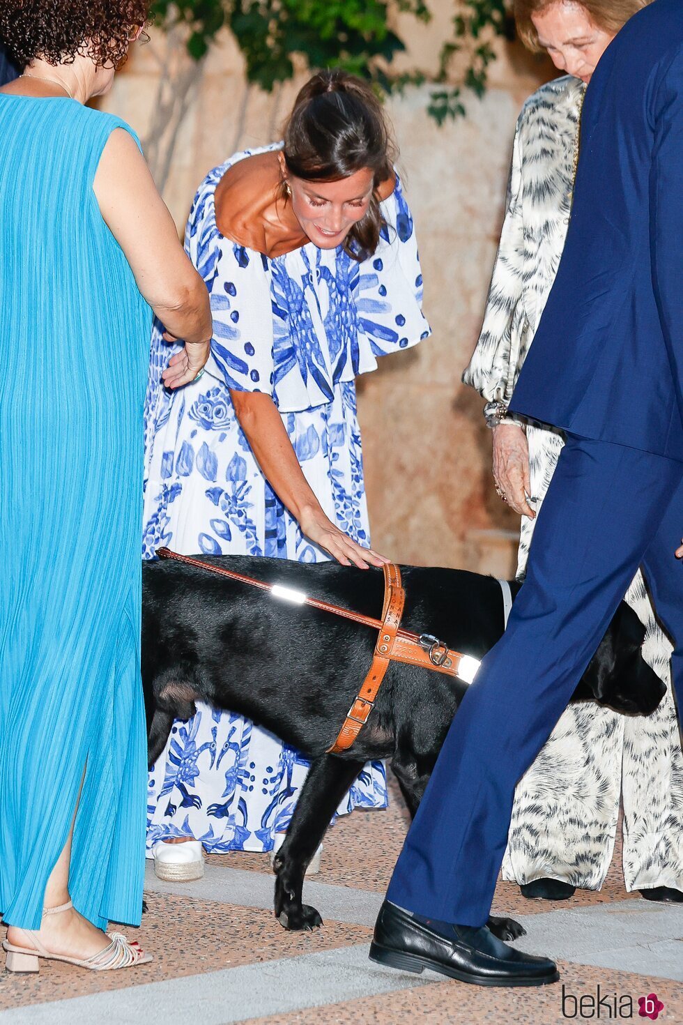 La Reina Letizia acaricia a un perro guía en la recepción a la sociedad balear en Marivent