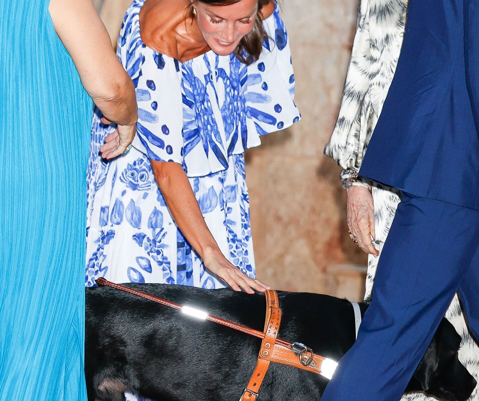 La Reina Letizia acaricia a un perro guía en la recepción a la sociedad balear en Marivent