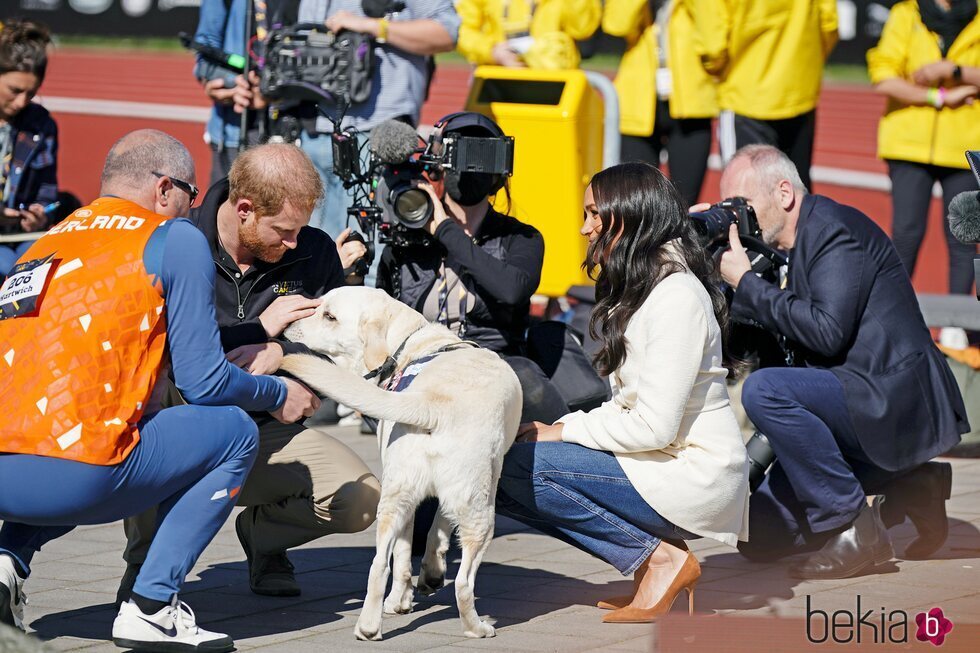 El Príncipe Harry y Meghan Markle rodando 'Heart of Invictus'