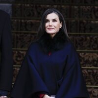 La Reina Letizia en la Apertura de la XV Legislatura