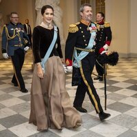 Federico y Mary de Dinamarca en la última recepción de Año Nuevo antes de ser Reyes de Dinamarca