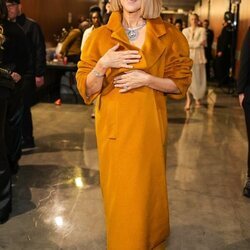 Céline Dion posa de lo más elegante en los Grammy 2024