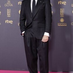 Alfonso Bassave, en la alfombra roja de los Premios Goya 2024