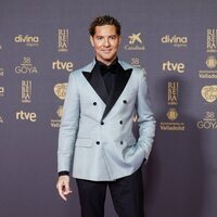 David Bisbal, en la alfombra roja de los Premios Goya 2024