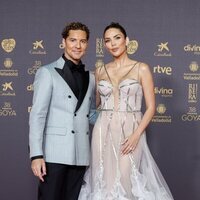 David Bisbal y Rosanna Zanetti, en la alfombra roja de los Premios Goya 2024