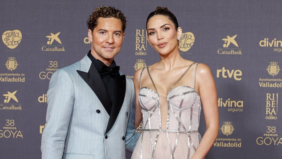 David Bisbal y Rosanna Zanetti, en la alfombra roja de los Premios Goya 2024