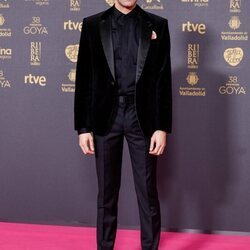 David Verdaguer, en la alfombra roja de los Premios Goya 2024