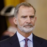 El Rey Felipe VI durante el acto de condecoración del mérito civil durante la celebración del décimo aniversario del reinado de Felipe VI