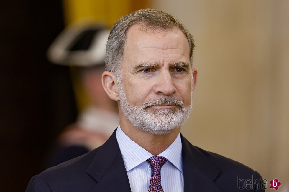 El Rey Felipe VI durante el acto de condecoración del mérito civil durante la celebración del décimo aniversario del reinado de Felipe VI