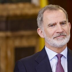 El Rey Felipe VI en los actos por su décimo aniversario de reinado