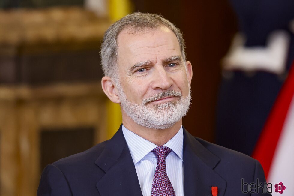 El Rey Felipe VI en los actos por su décimo aniversario de reinado