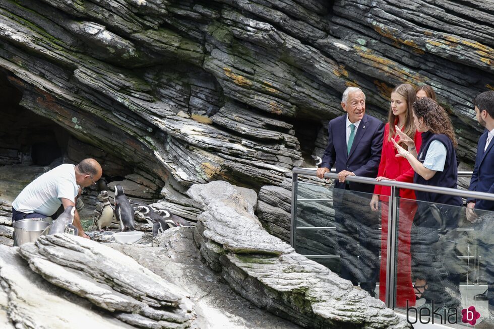 La Princesa Leonor viendo pingüinos en el Oceanario de Lisboa en su primer viaje oficial a Portugal