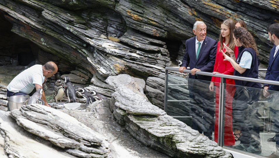 La Princesa Leonor viendo pingüinos en el Oceanario de Lisboa en su primer viaje oficial a Portugal