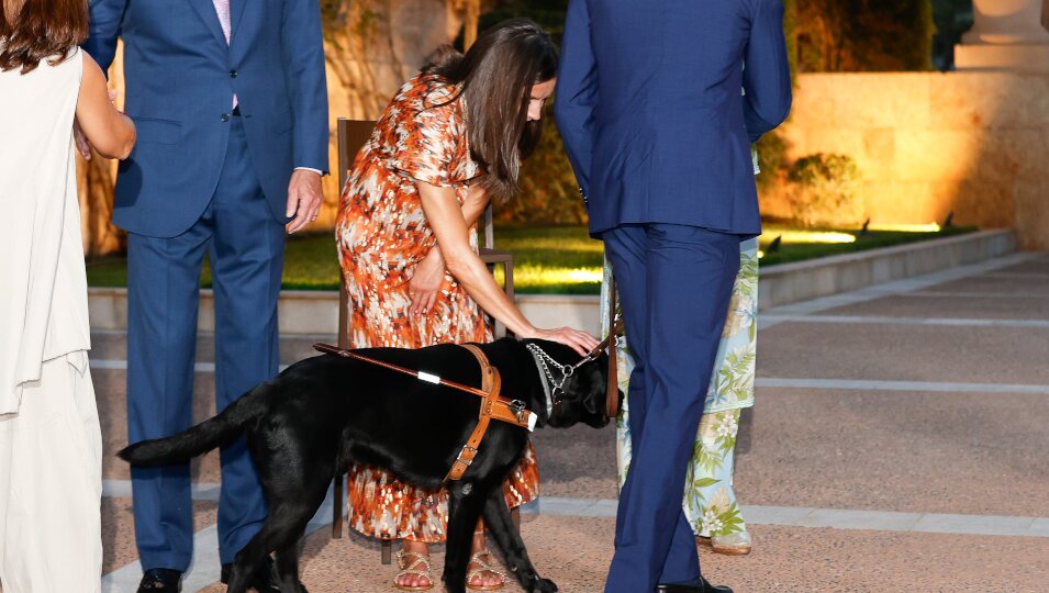 La Reina Letizia muy cariñosa con el perro guía de un invitado