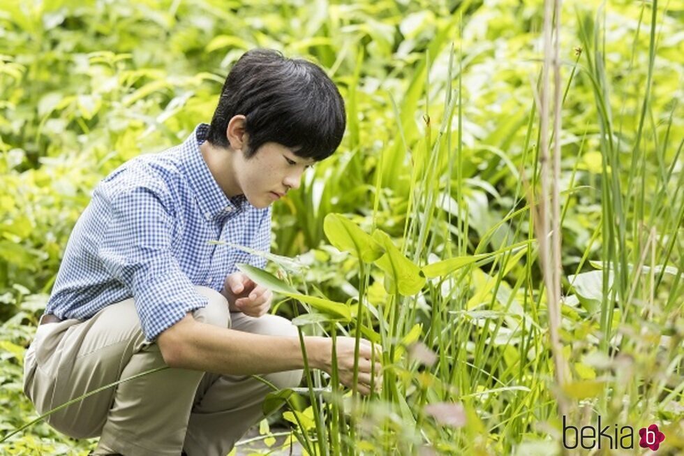 Hisahito de Japón observando el jardín de su residencia en su 18 cumpleaños