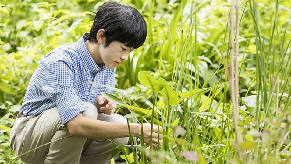 Hisahito de Japón observando el jardín de su residencia en su 18 cumpleaños