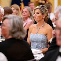 Máxima de Holanda en una cena de gala al Consejo de Estado de Países Bajos