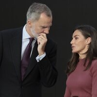 Los Reyes Felipe y Letizia hablando en la entrega de las Medallas de Oro al Mérito en las Bellas Artes