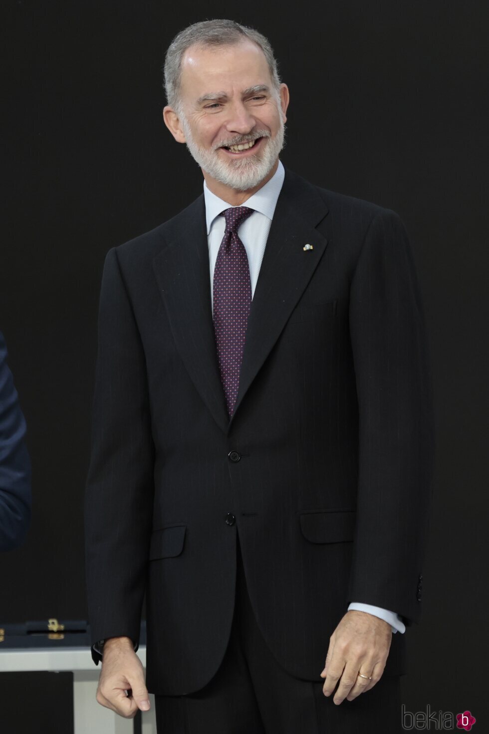 El Rey Felipe en la entrega de las Medallas de Oro al Mérito en las Bellas Artes