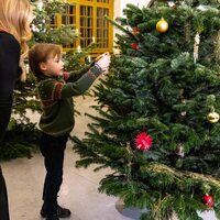 Gabriel de Suecia decorando un árbol de Navidad en la recogida de árboles de Navidad en el Palacio Real de Estocolmo