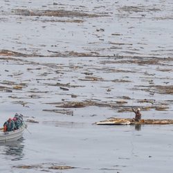 Rescatado un hombre en alta mar tras el tsunami de Japón