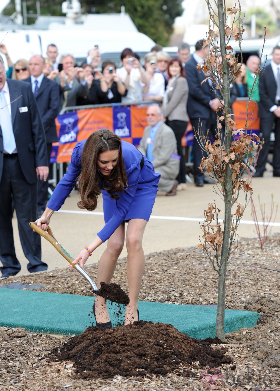 La Duquesa de Cambridge planta un árbol en el Hospicio Treehouse en Ipswich