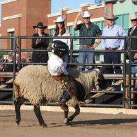 Los Duques de Cambridge en la Calgary Stampede