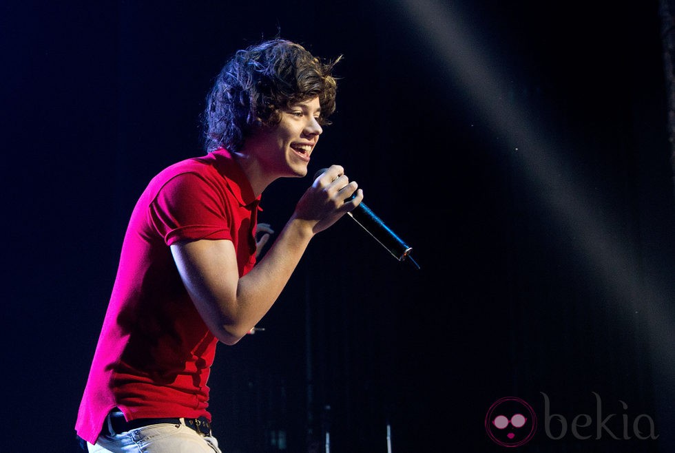 Harry Styles en un concierto en Wellington