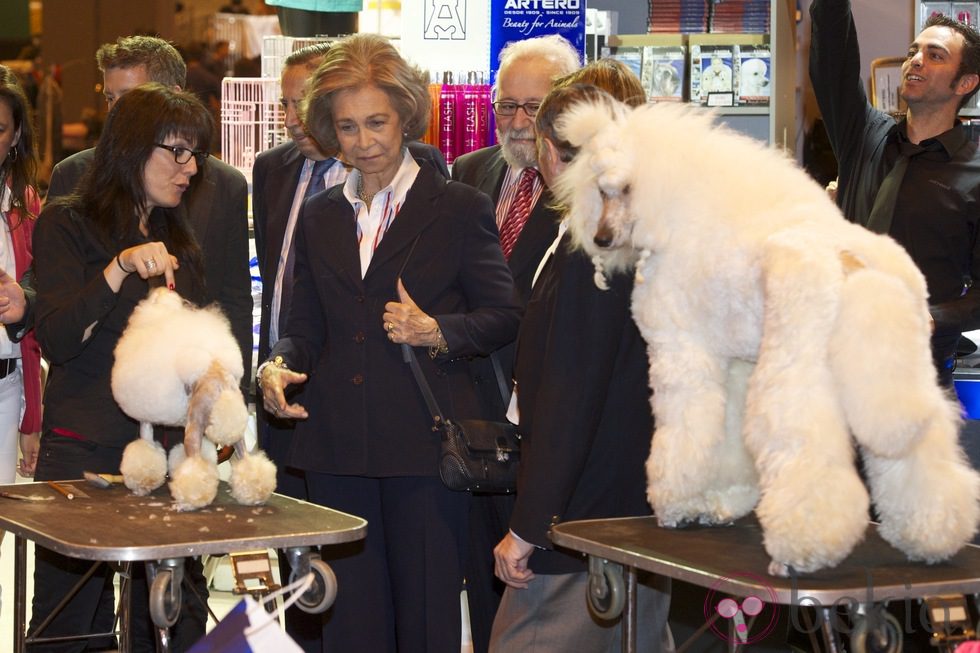 La Reina Sofía con unos perros durante su visita a la Feria del animal de compañía