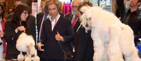 La Reina Sofía con unos perros durante su visita a la Feria del animal de compañía