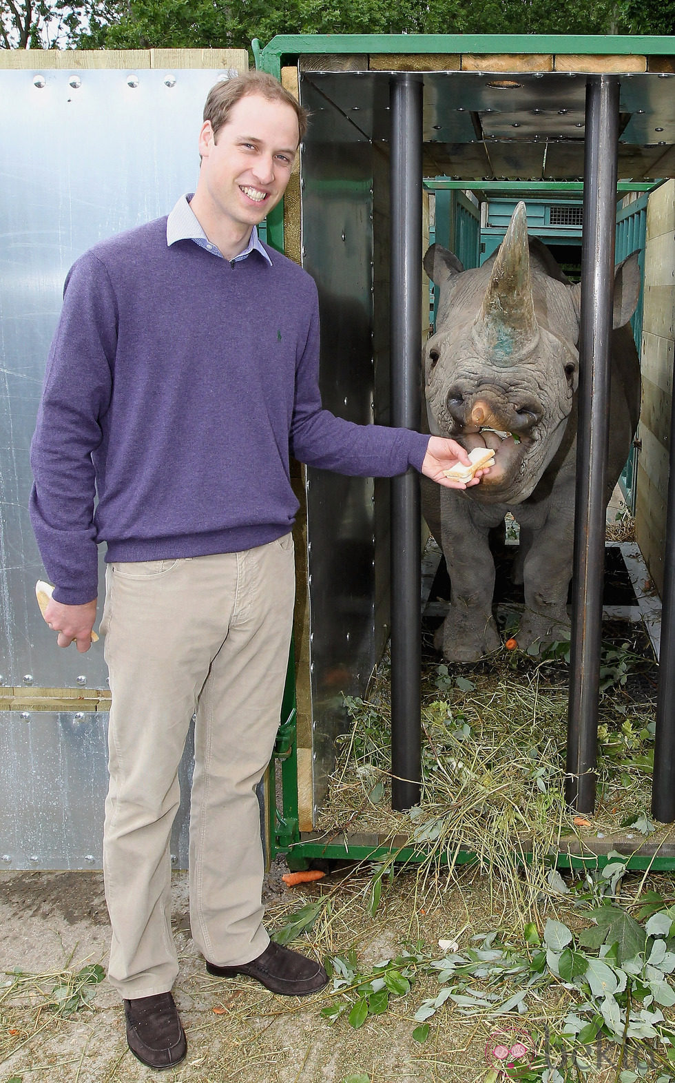 El Príncipe Guillermo con un rinoceronte en Port Lympne Wild Animal Park