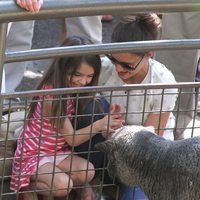 Katie Holmes y Suri dan de comer a los animales