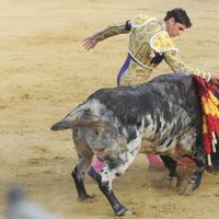 Fran Rivera toreando en Sotogrande