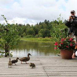 Victoria y Daniel de Suecia con unos patos en la inauguración del 'sendero del amor'