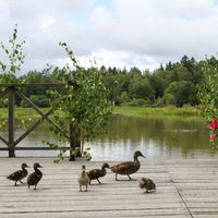 Victoria y Daniel de Suecia con unos patos en la inauguración del 'sendero del amor'