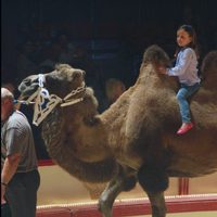 Isabel de Dinamarca montada en un camello en el circo