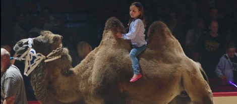 Isabel de Dinamarca montada en un camello en el circo