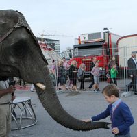 Christian de Dinamarca juega con un elefante en el circo