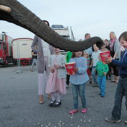 Christian e Isabel de Dinamarca dan de comer a un elefante en el circo