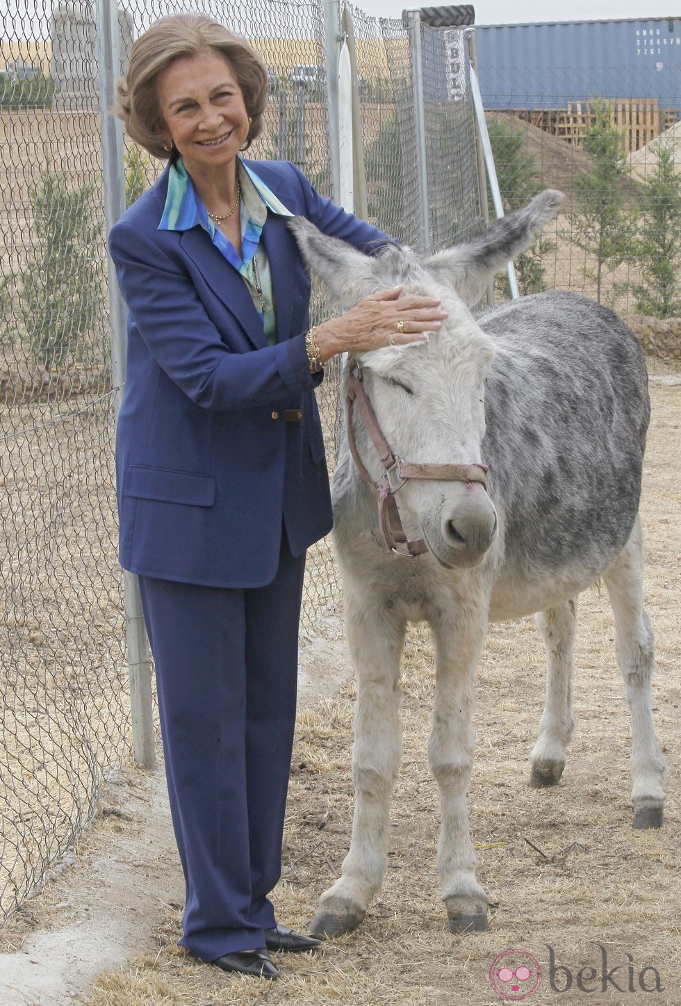 La Reina Sofía con un burro durante su visita a un centro de adopción de animales abandonados