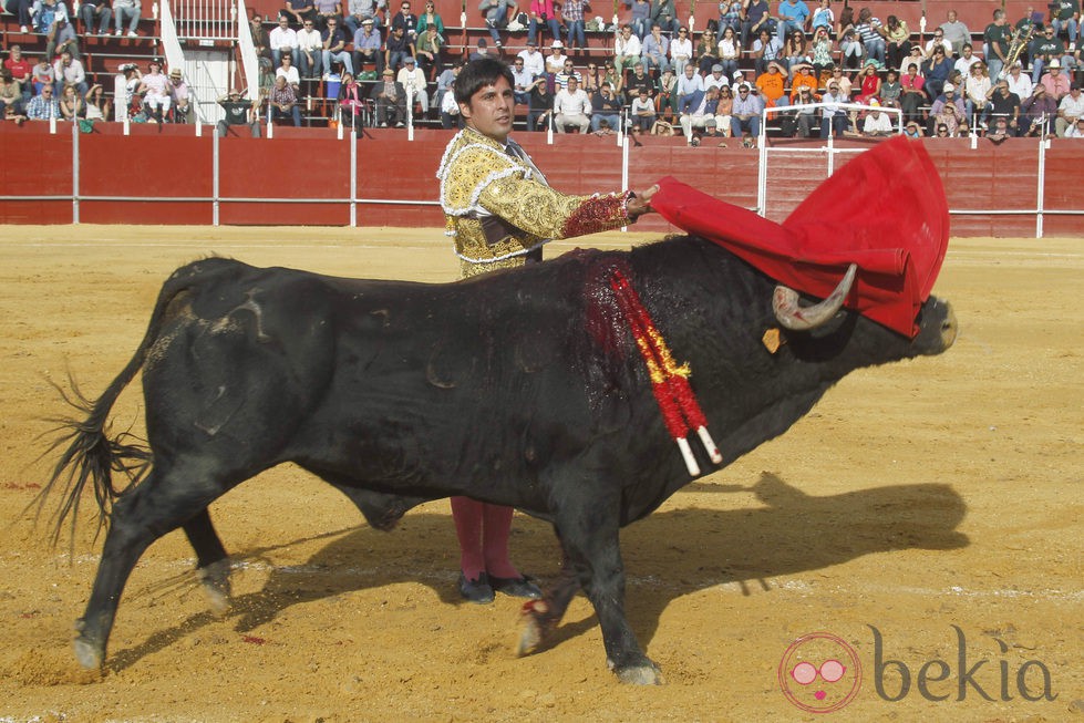 Fran Rivera toreando en Boadilla del Monte