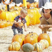 Selma Blair recogiendo calabazas con su hijo para celebrar el día de 'Halloween'