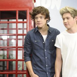 Harry Styles y Niall Horan en la presentación del disco 'Take me home' en Madrid