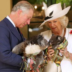 El Príncipe de Gales y la Duquesa de Cornualles sostienen koalas en Australia