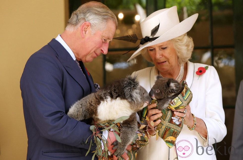 El Príncipe de Gales y la Duquesa de Cornualles sostienen koalas en Australia