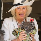 Camilla Parker Bowles, asustada al coger un koala en Australia