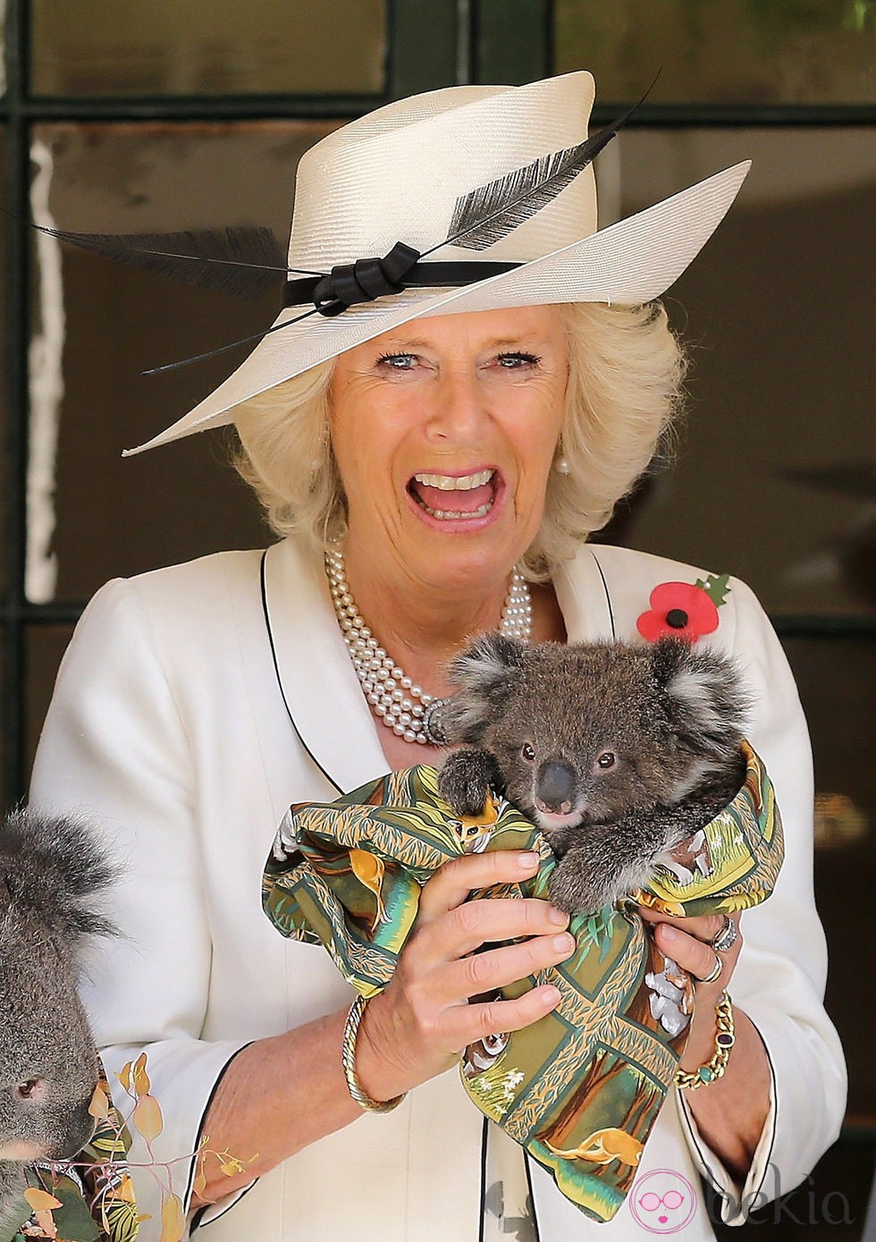 Camilla Parker Bowles, asustada al coger un koala en Australia